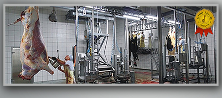 Doğuş Makina  Sistemleri